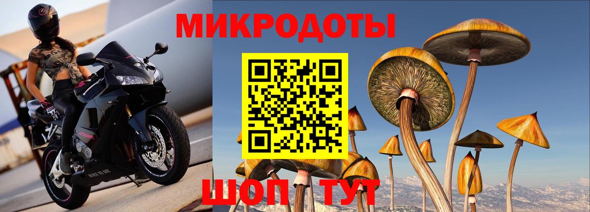 Ейск  Псилоцибиновые грибы GOLDEN TEACHER  Вход с VPN 