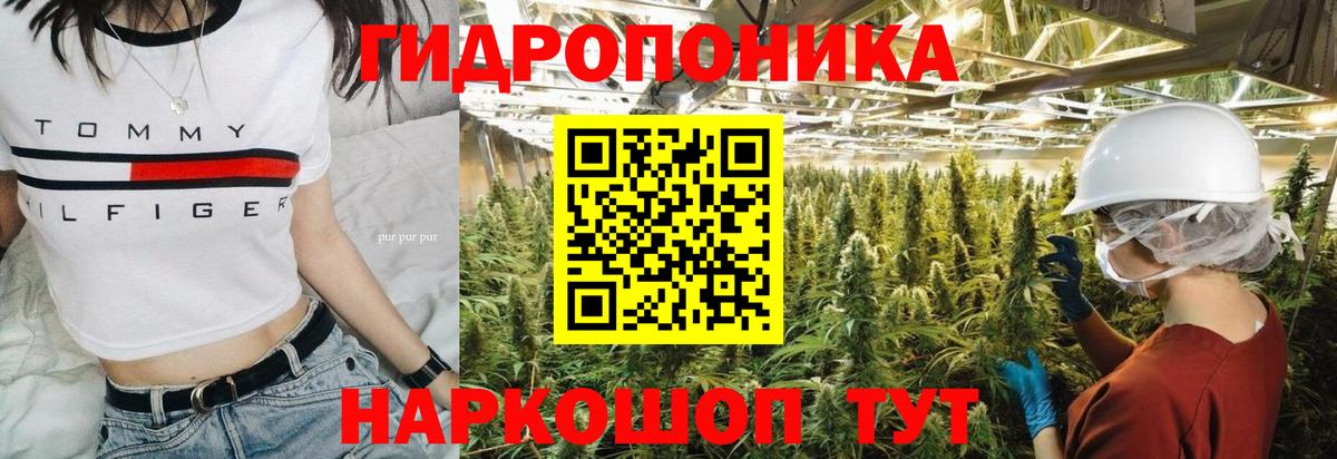 Ейск  Шишки марихуана гибрид  Вход с VPN  Канабис план  Бошки Шишки OG Kush 